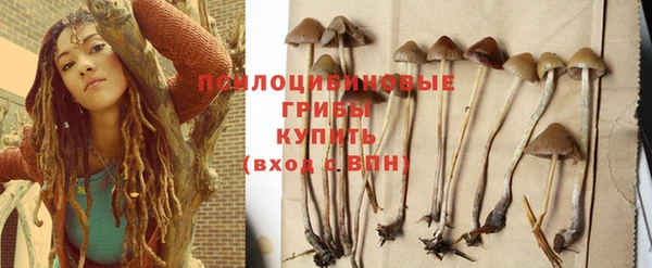 гидропоника Новокубанск