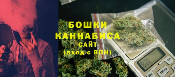 не бодяженный Няндома