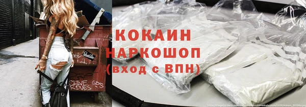 шишки Сатка